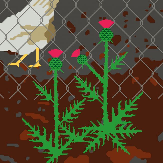 illustration on "weeds"