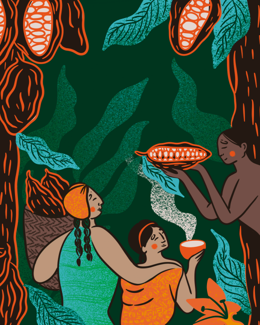 Ilustrácie na obal kakaa Conexión