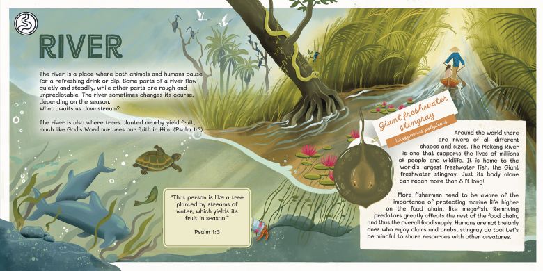 Biotopy 2 ( rieka, dvojstrana)