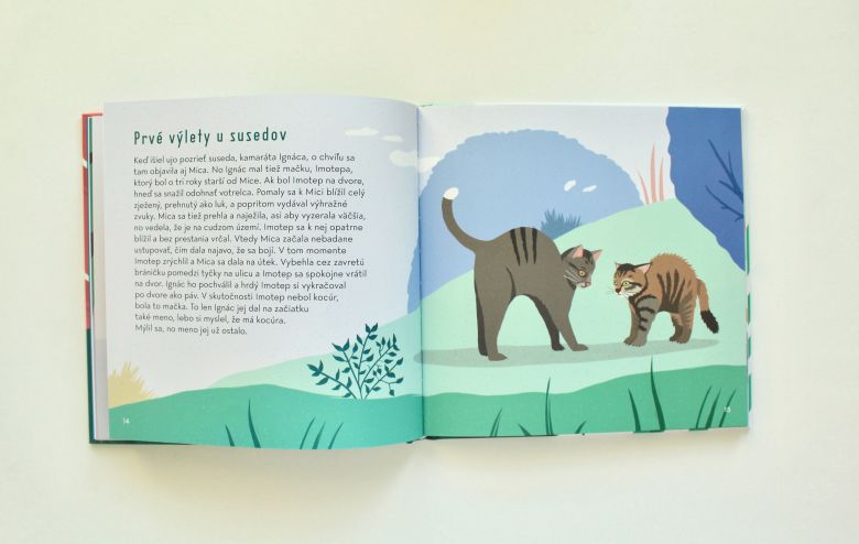 Ilustrácia z knihy MICA