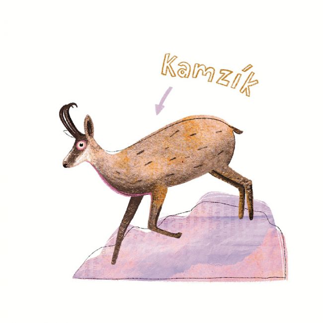 Opica Škorica na potulkách po Slovensku