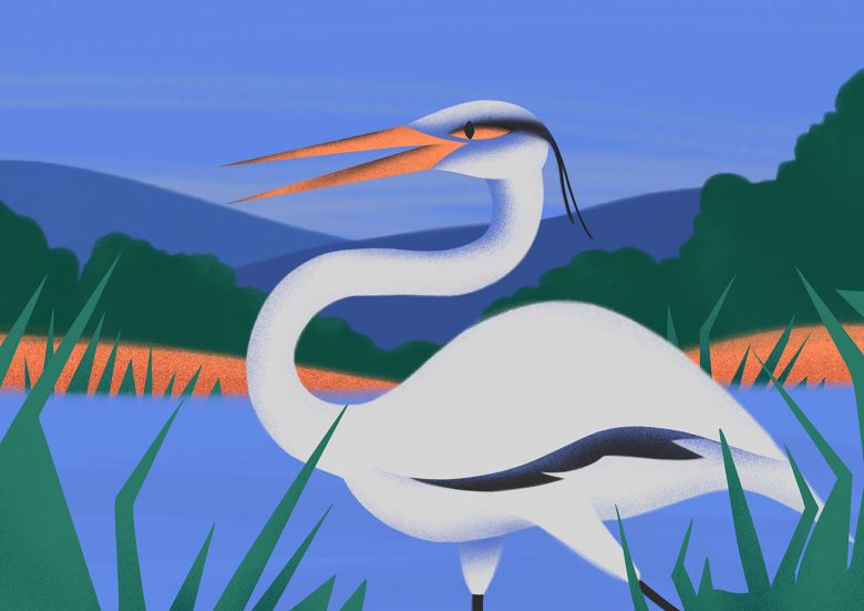 Zachráňme Modré oko