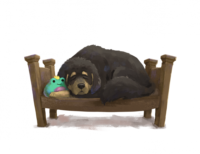 Bear and a frog