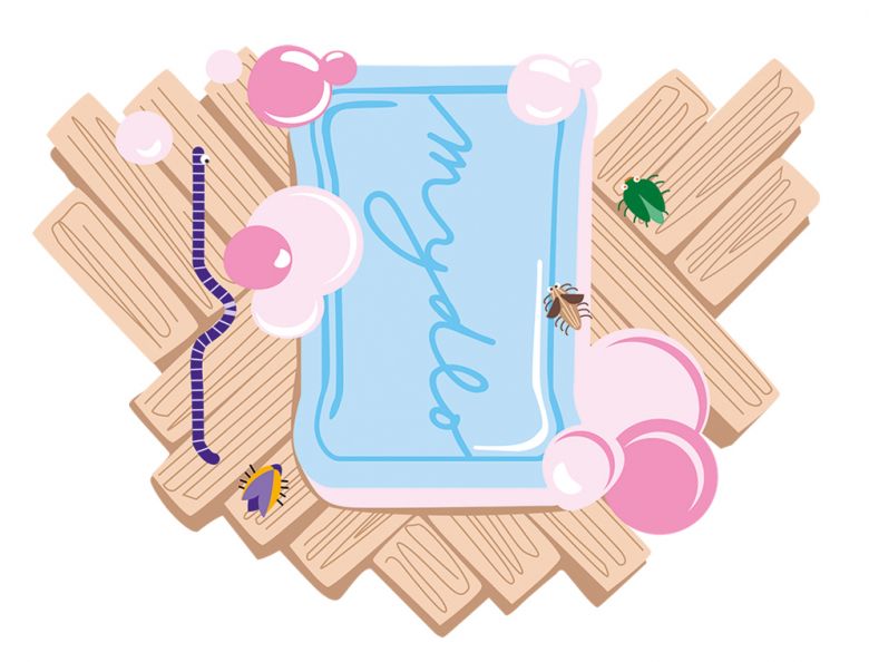 Prieskum spokojnosti, Orange Slovensko