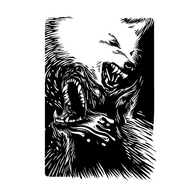 Záhadné príbehy spod Tríbeča