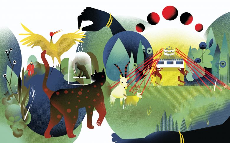 Cesta do krajiny Draka - Shangtu